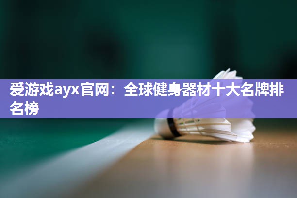 爱游戏ayx官网：全球健身器材十大名牌排名榜