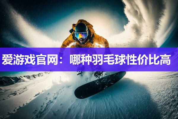 爱游戏官网：哪种羽毛球性价比高