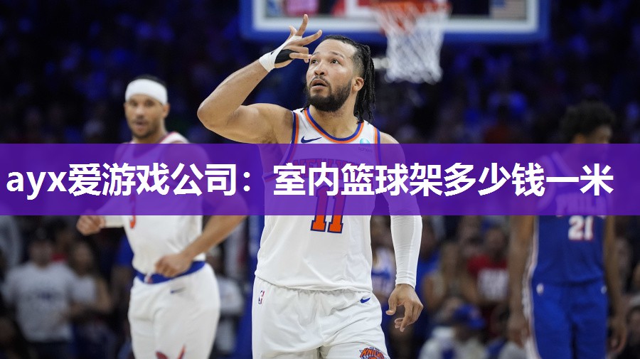 ayx爱游戏公司：室内篮球架多少钱一米