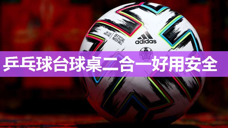 乒乓球台球桌二合一好用安全