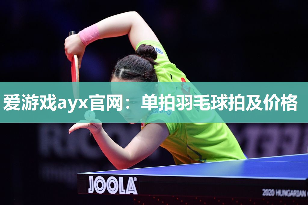 爱游戏ayx官网：单拍羽毛球拍及价格