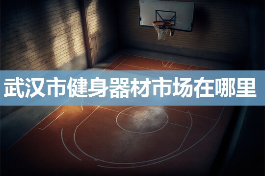 武汉市健身器材市场在哪里