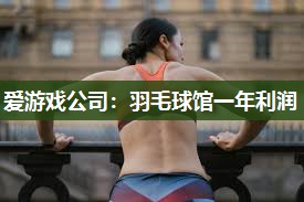 爱游戏公司：羽毛球馆一年利润