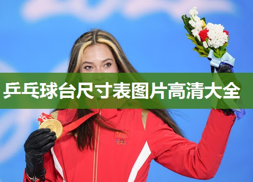 乒乓球台尺寸表图片高清大全