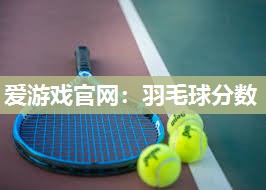 羽毛球分数