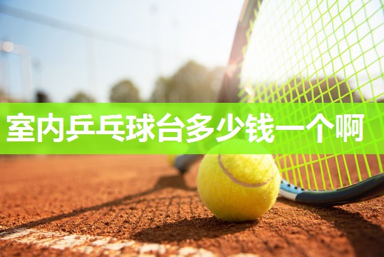 室内乒乓球台多少钱一个啊