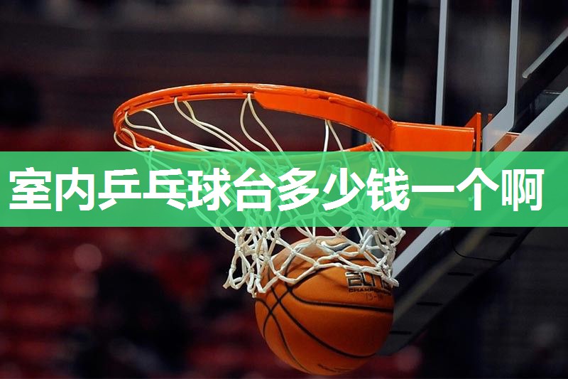 室内乒乓球台多少钱一个啊