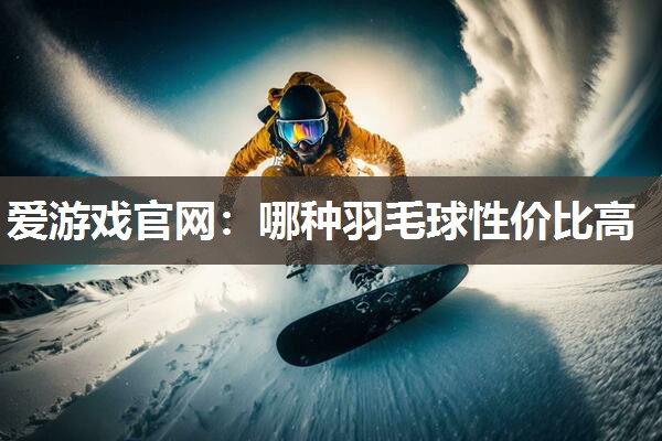 哪种羽毛球性价比高