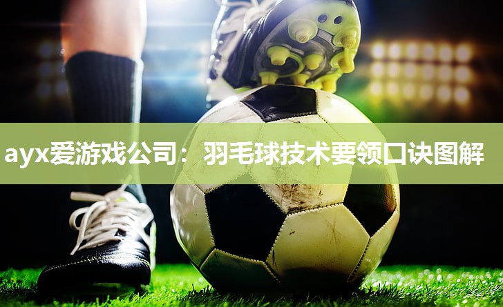 羽毛球技术要领口诀图解