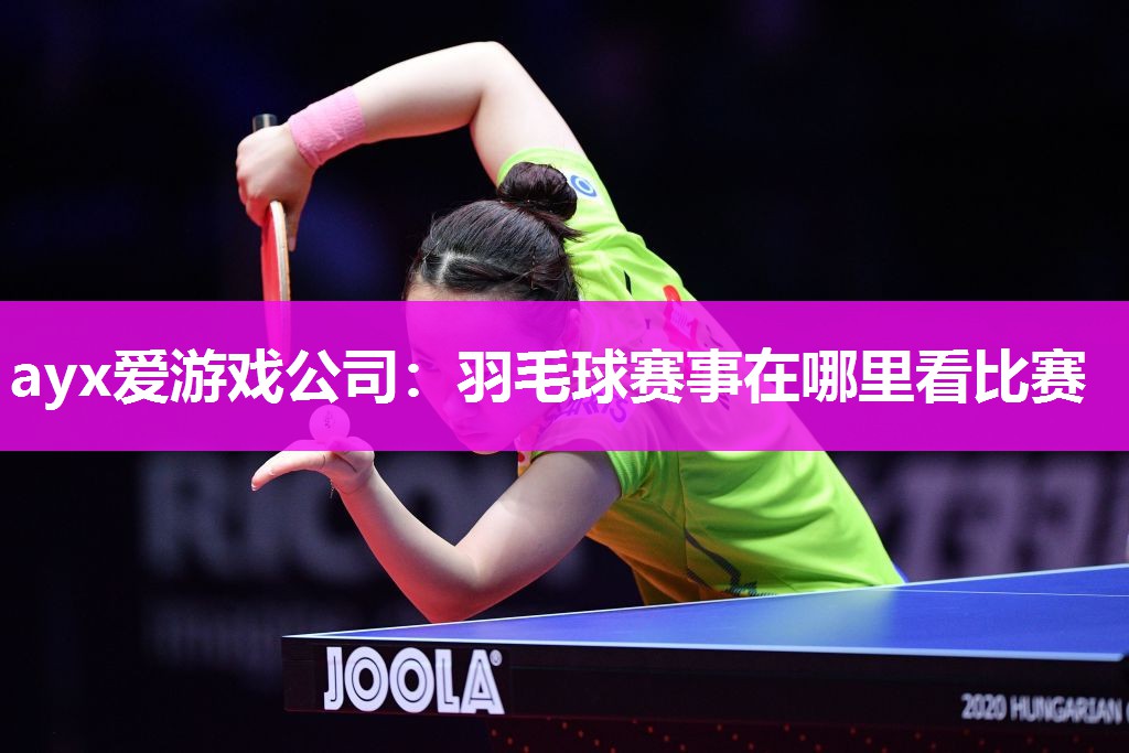 羽毛球赛事在哪里看比赛
