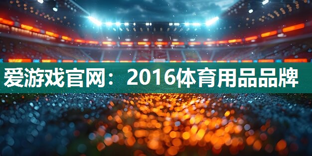 2016体育用品品牌