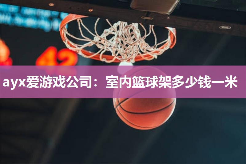 室内篮球架多少钱一米