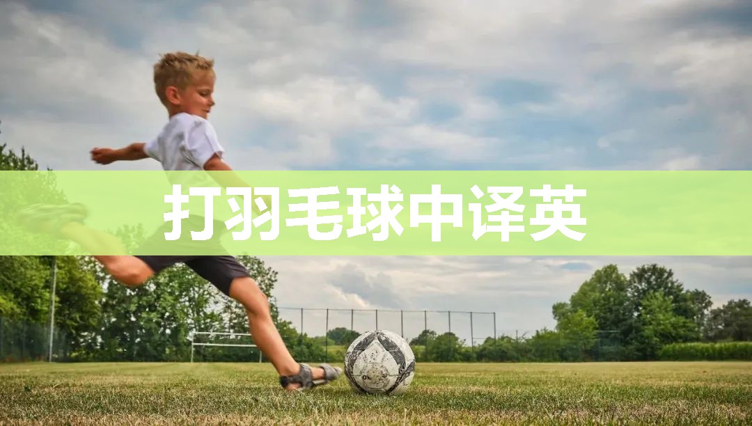 打羽毛球中译英