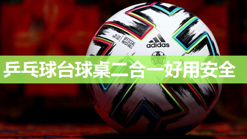 乒乓球台球桌二合一好用安全
