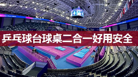 乒乓球台球桌二合一好用安全