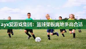 篮球架板离地多高合适
