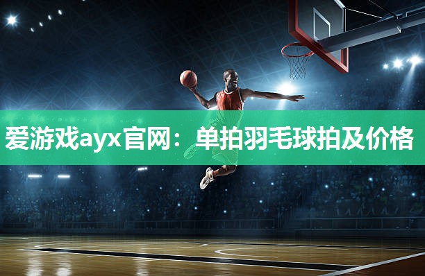 单拍羽毛球拍及价格