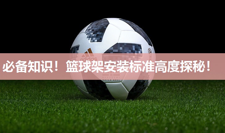 必备知识！篮球架安装标准高度探秘！