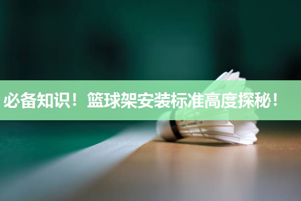 必备知识！篮球架安装标准高度探秘！