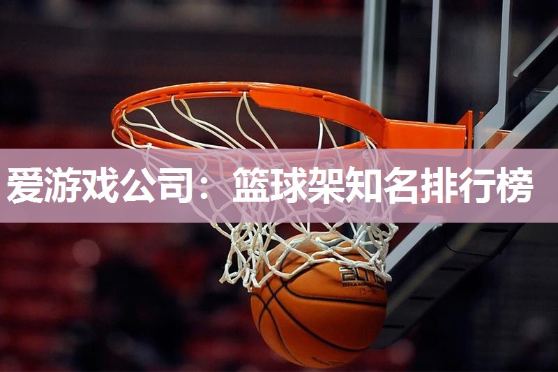 篮球架知名排行榜