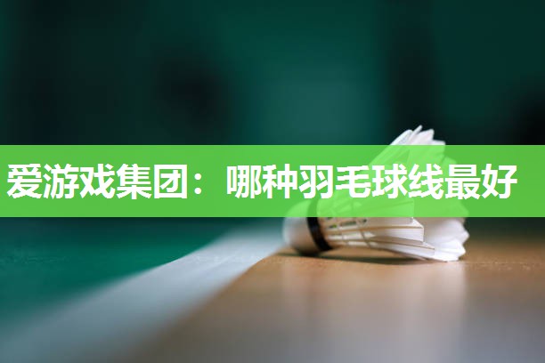 哪种羽毛球线最好