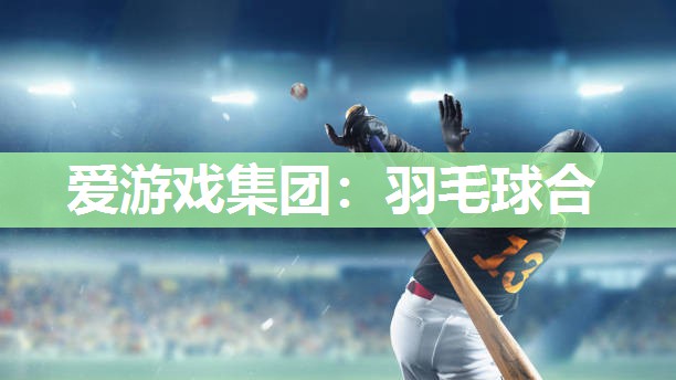 羽毛球合