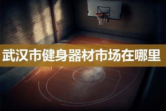 武汉市健身器材市场在哪里