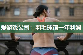 羽毛球馆一年利润