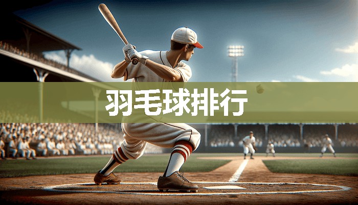 羽毛球排行